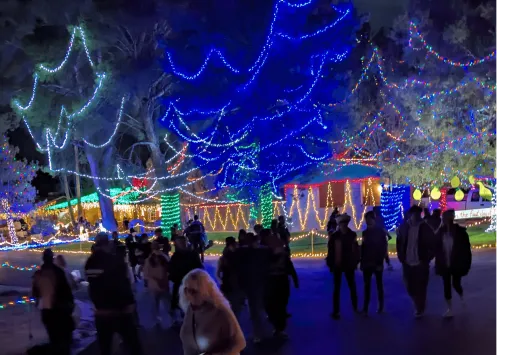 Desert Sharks Parrot head club